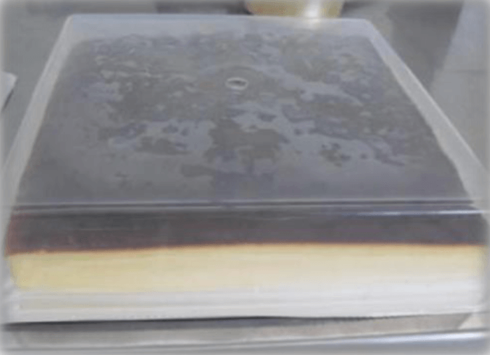 22362 – TARTA QUESO PLANCHA 1,5 K ALBE.